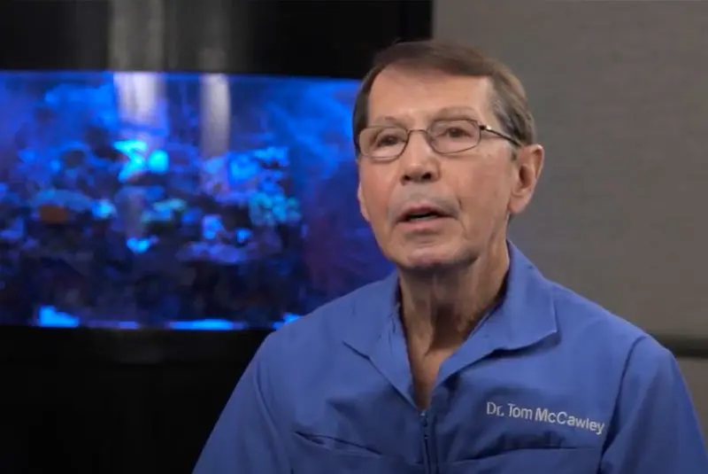 Dr. Tom McCawley
