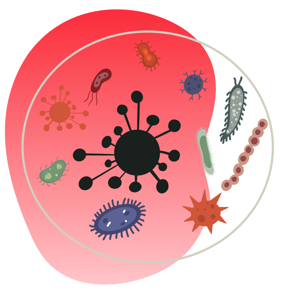 microbes