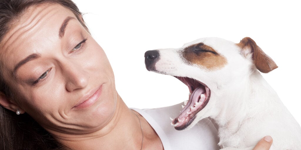 Why Your Dog’s Breath Smells and What You Can Do About It